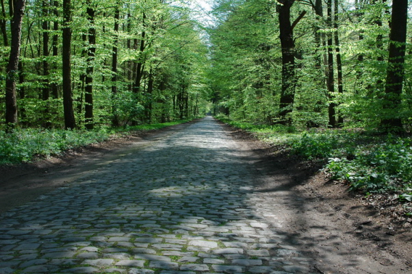 Waldweg