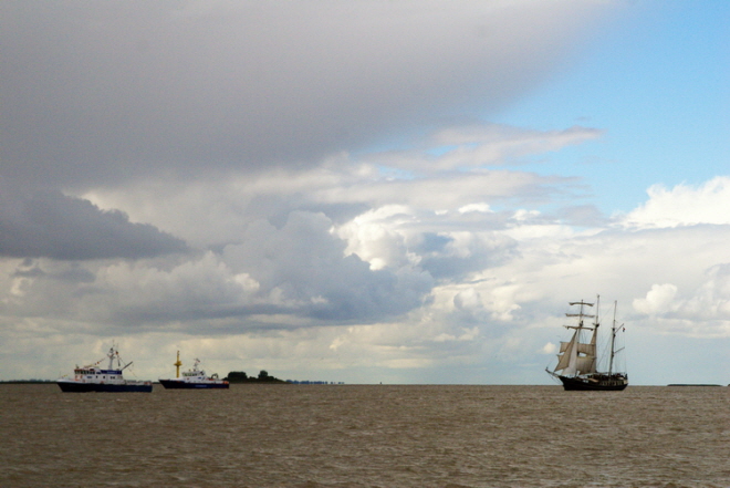 Sail 2010