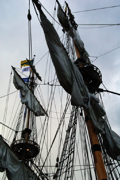 Sail 2010