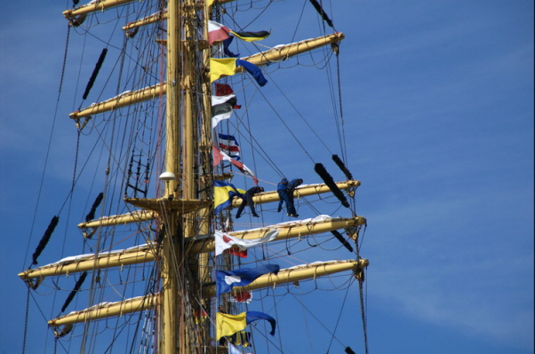 Sail 2005